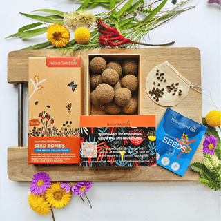 Native seed bombs - wildflowers for pollinators