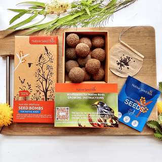 Native seed bombs - Wildflowers for native birds