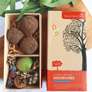 Native seed bombs - Koala Food