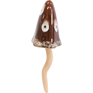 Jiggle small mushroom in brown