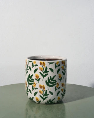 Wattle ceramic pot in large