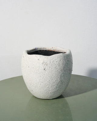 Barraba ceramic pot in small