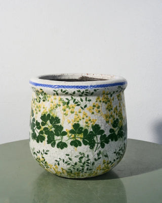 Ivy ceramic pot in large